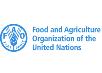 FAO, Partners Support 26,750 IDPs, Others With Farm Inputs