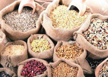 FG To Import 20,000MT Of Rice, Maize Seeds To Fight Food Insecurity