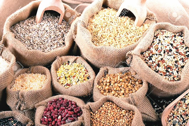 FG To Import 20,000MT Of Rice, Maize Seeds To Fight Food Insecurity 1 GRAINS seeds food