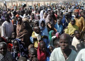 NGO Assists Borno’s 10,000 IDPs, PWDs