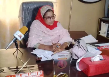 Kano Govt To Domesticate Women Economic Empowerment Policy