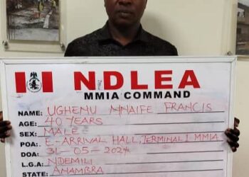 NDLEA Intercepts N2.1bn Worth Of Codeine Syrup, ‘Loud’ Consignments    
