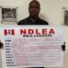 NDLEA Intercepts N2.1bn Worth Of Codeine Syrup, ‘Loud’ Consignments    