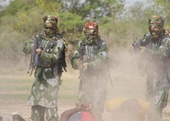 Terrorists Murder 3 Abducted Christian Passengers In Borno