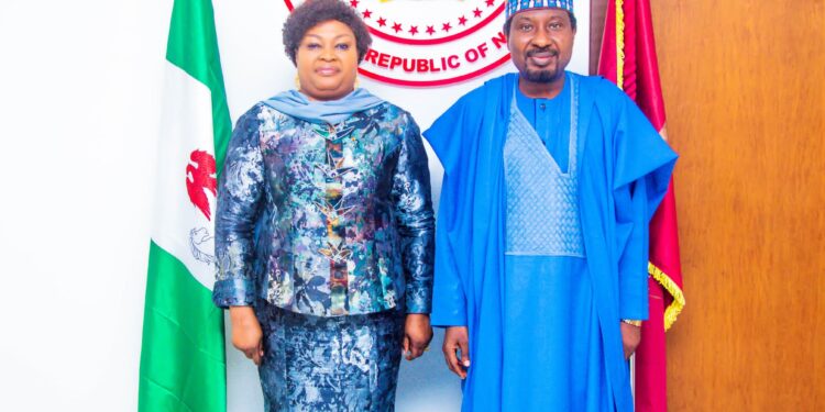 ECOWAS parliament meeting