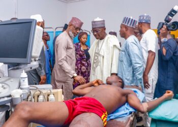 Mining Pit Collapse: Miners To Get Insurance Policy — Alake