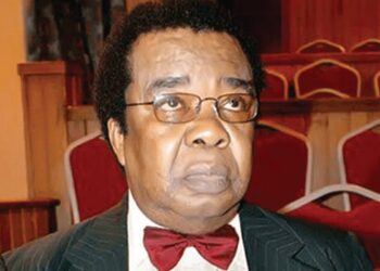 Nigeria Practicing Civil Rule, Not True Democracy – Akinyemi