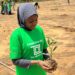 The Offshore Lab Launches Campus Green Belt Initiative With The Planting Of 1000 Trees At Bauchi State University, Gadau