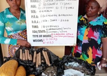 NDLEA Bursts Drug-filled Shrine Guarded With Snake In Edo