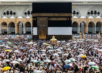 Saudi Authorities Blame Heat Stress, Unauthorised Trips As Hajj Deaths Reach 1,301