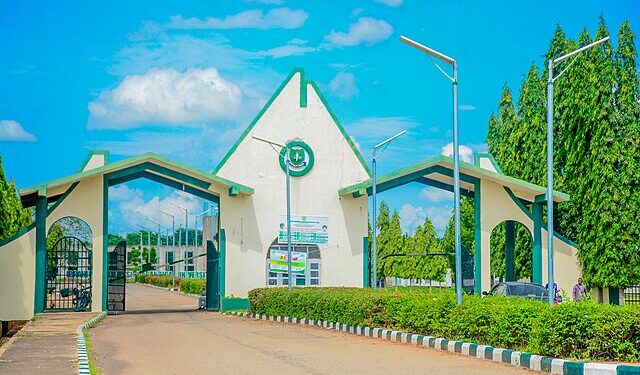 IBB University