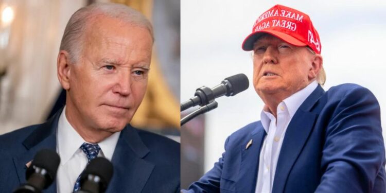 Ahead of the US presidential election slated for November, there is no statistical difference between the ratings of incumbent President Joe Biden and ex-President Donald Trump, in Nigeria, Ghana and six other countries.