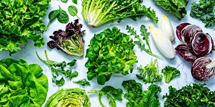 WASHINGTON, DC - MARCH 14: Salad greens photographed for Voraciously in Washington, DC on March 14, 2022 (Photo by Scott Suchman for The Washington Post; food styling by Lisa Cherkasky for The Washington Post)