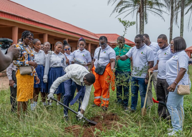 World environment day