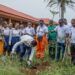 World Environment Day: Firm Plants 1000 Trees In Edo 5 World Environment Day: Firm Plants 1000 Trees In Edo