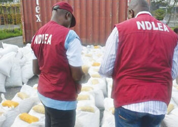 NDLEA Arrests Over 360 Suspects In Kwara