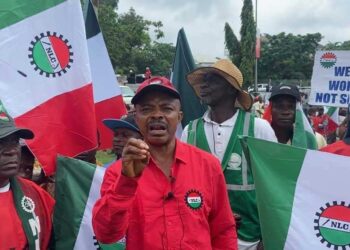Labour Strike: Importers Suffer Over N200bn Losses – Clearing Agents