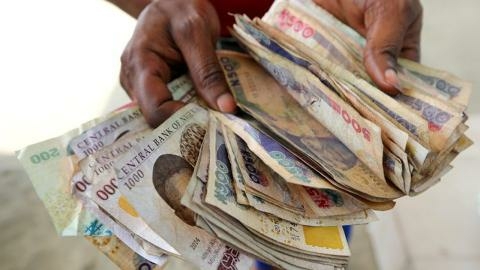 Fake Currency: Adamawa Man Arrested For Killing Victim 1 Naira 1