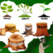 Nigeria Map cartoon