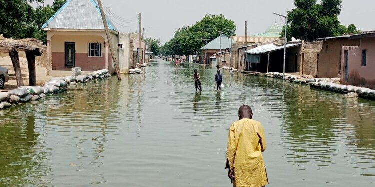 Flood