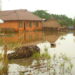 Finding Solutions To Perennial Makurdi Flooding 5 Finding Solutions To Perennial Makurdi Flooding