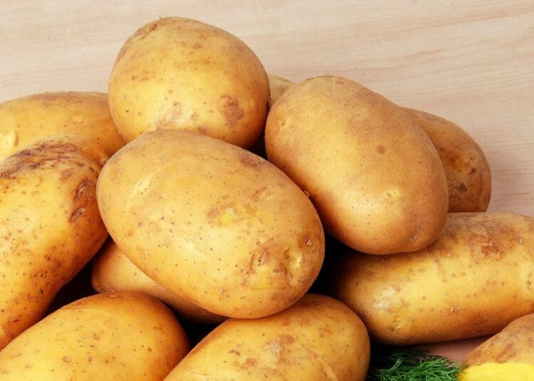 Biotech Potatoes