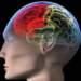 8 Daily Habits That Will Keep Your Brain Young, Sharp 5 8 Daily Habits That Will Keep Your Brain Young, Sharp