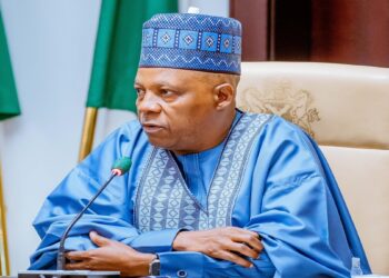 Stakeholders Petition IGP Over Libellous Reports Against Shettima, NEDC MD