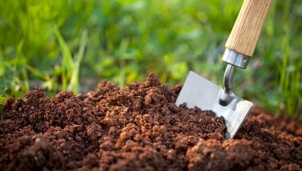 SoilsSDGs feature 620x353 1