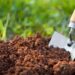 Saving Our Soils In Africa May Be Only Path Left To A Future