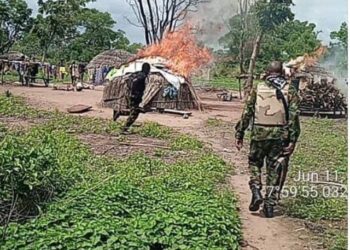 PICTORIAL: Troops Clear Bandits From Taraba Forest, Recover Valuables