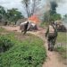 PICTORIAL: Troops Clear Bandits From Taraba Forest, Recover Valuables