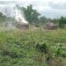 PICTORIAL: Troops Clear Bandits From Taraba Forest, Recover Valuables