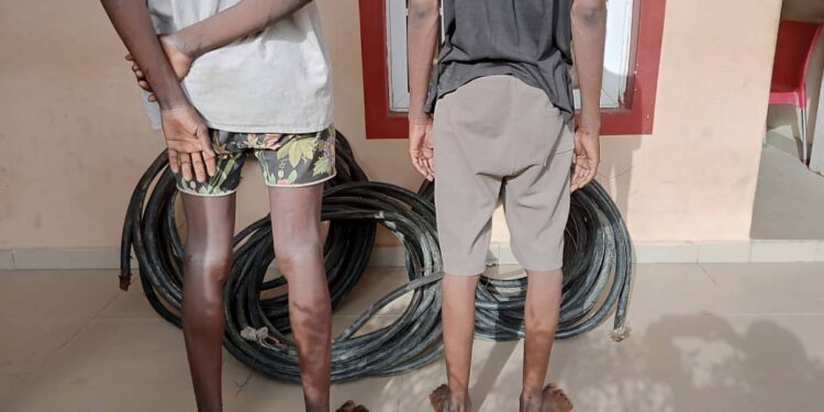 NSCDC