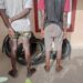 NSCDC Nabs 5 For Alleged Vandalism, Motorcycle Theft In Kano