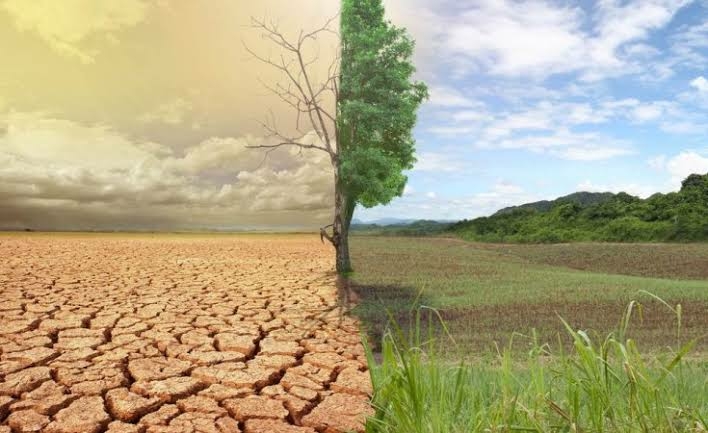 Free2Green Campaign Plans 60m Eco-volunteer Jobs For Biodiversity Conservation In Nigeria 1 WhatsApp Image 2024 06 05 at 15.05.35