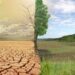 Free2Green Campaign Plans 60m Eco-volunteer Jobs For Biodiversity Conservation In Nigeria 5 Free2Green Campaign Plans 60m Eco-volunteer Jobs For Biodiversity Conservation In Nigeria