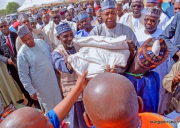 NEMA Supports Borno State In Resettlement Of IDPs From 8 LGAs