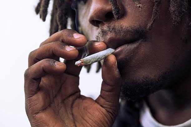 Report Uncovers Deadly ‘Nitazenes’ Among Drug Users In Africa 1 WhatsApp Image 2024 06 13 at 12.21.39