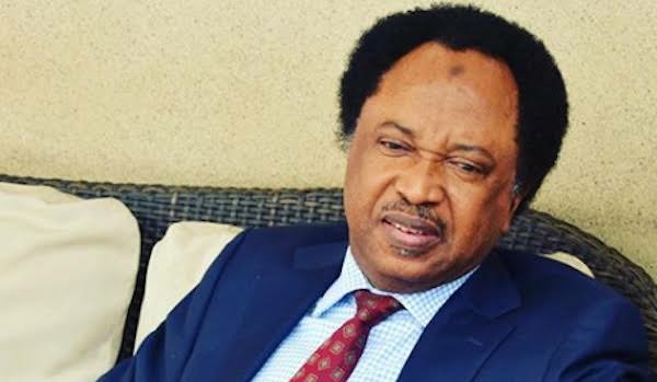No #EndSARS Protester In Our Custody — Police 1 Senator Shehu Sani