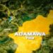 23-yr-old Woman Steals Day-old Baby In Adamawa