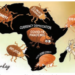 For Africa, When It Rains, It Pours