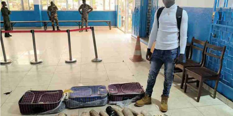 Ivory Smuggling