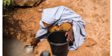 When Cholera Strikes: What You Should Do To Stem The Tide
