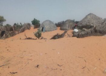 Nigeria’s Front Against Desertification