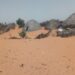 Nigeria's Front Against Desertification 5 Nigeria’s Front Against Desertification