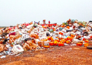 NAFDAC Destroys N985.3m Fake Products In Kano