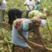 WACOT Introduces Improved Herbicide To Southwest Farmers