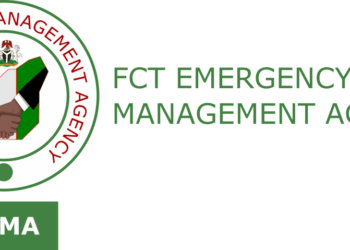 Lack Of Access Road Prolonged Karu Market Fire –FEMD