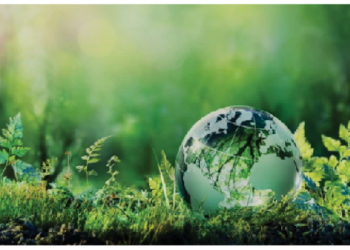 How Nigeria Can Become Green Industrial Powerhouse
